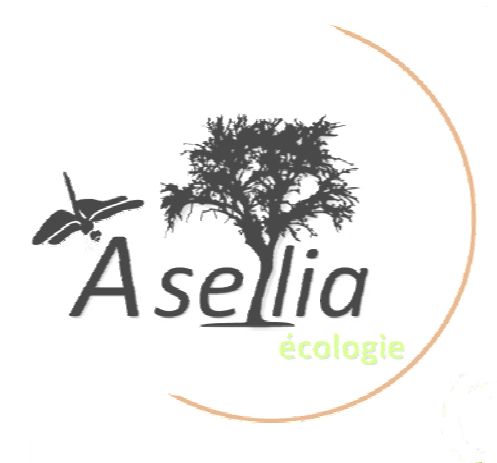 Asellia